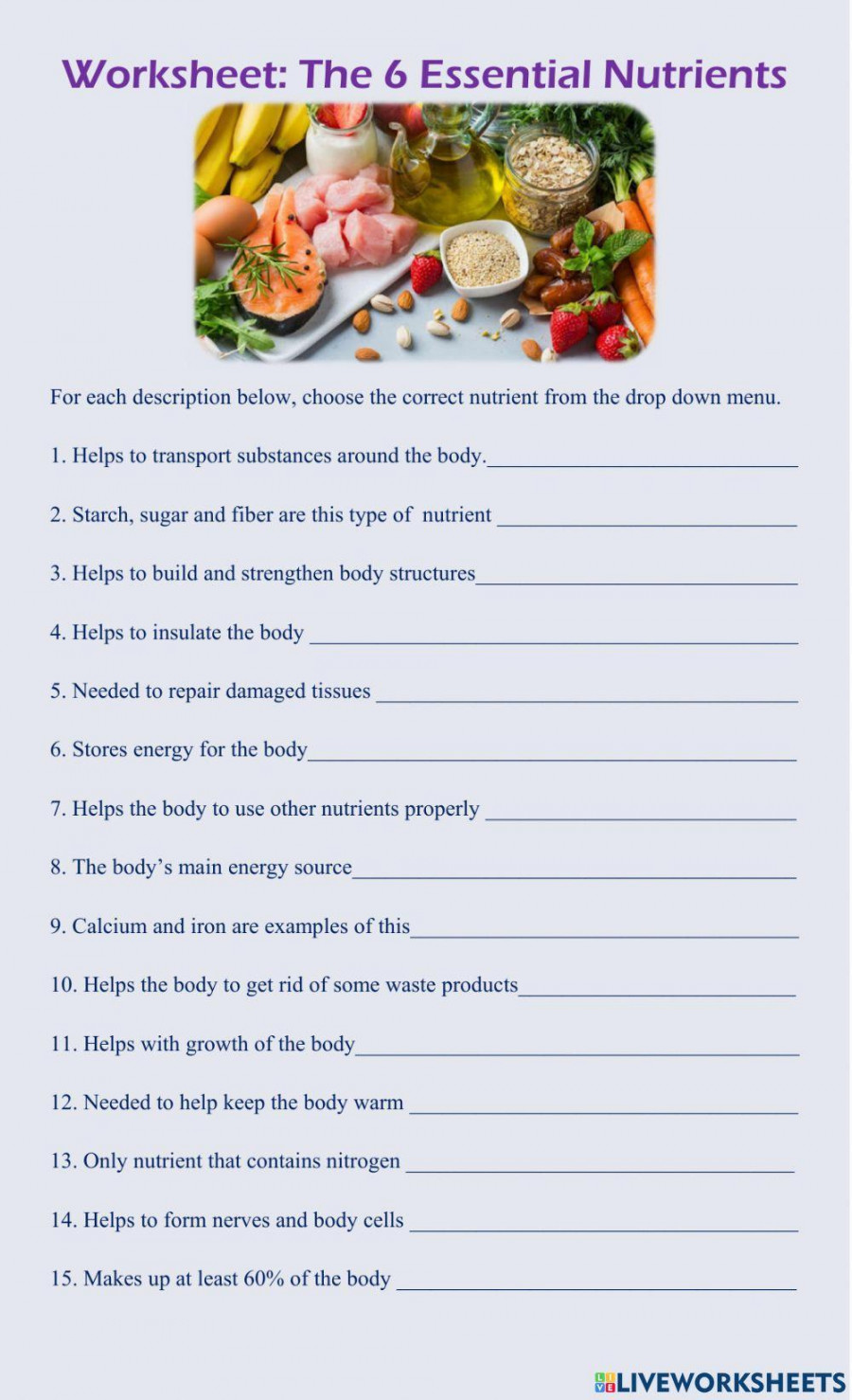 The  Essential Nutrients worksheet  Live Worksheets