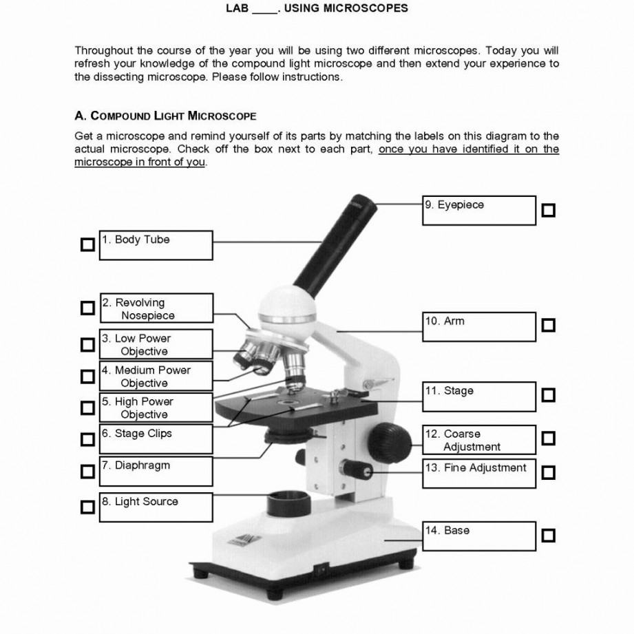 The Microscope Worksheets Answers  Measurement worksheets, Parts