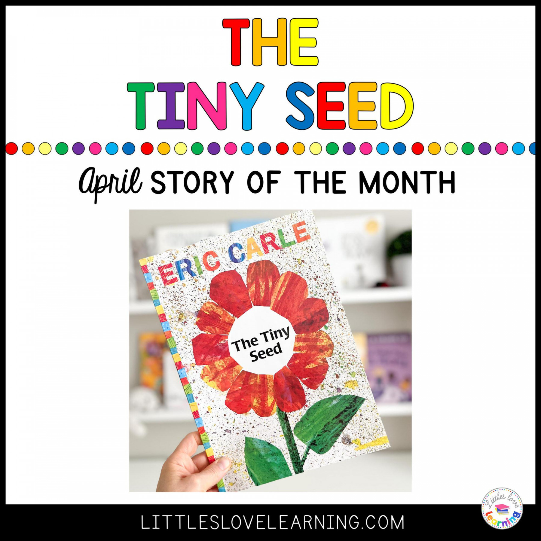 Tiny Seed Activities Kindergarten Martin Lindelof   The Tiny Seed Activities For Preschool And Kinder Freebie 