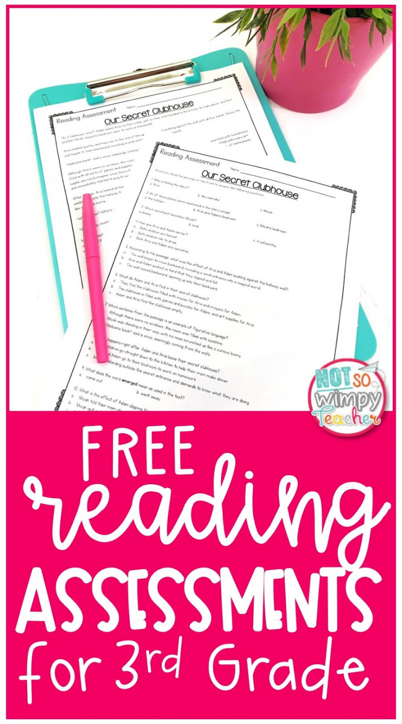 Third Grade Reading Pre and Post Assessments FREEBIE - Not So