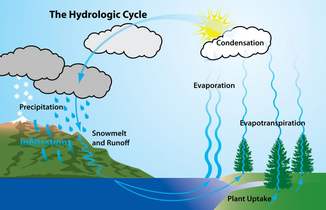 Water cycle for kids, Water cycle diagram, Water cycle