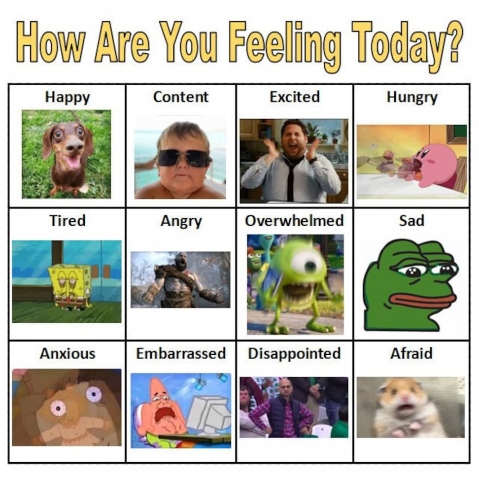 What Are You Feeling Today Meme Emotions Poster EDITABLE DIGITAL