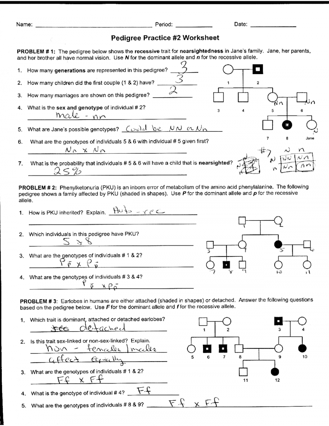 Worksheet Pedigree Practice with Answer Key  Exercises Genetics