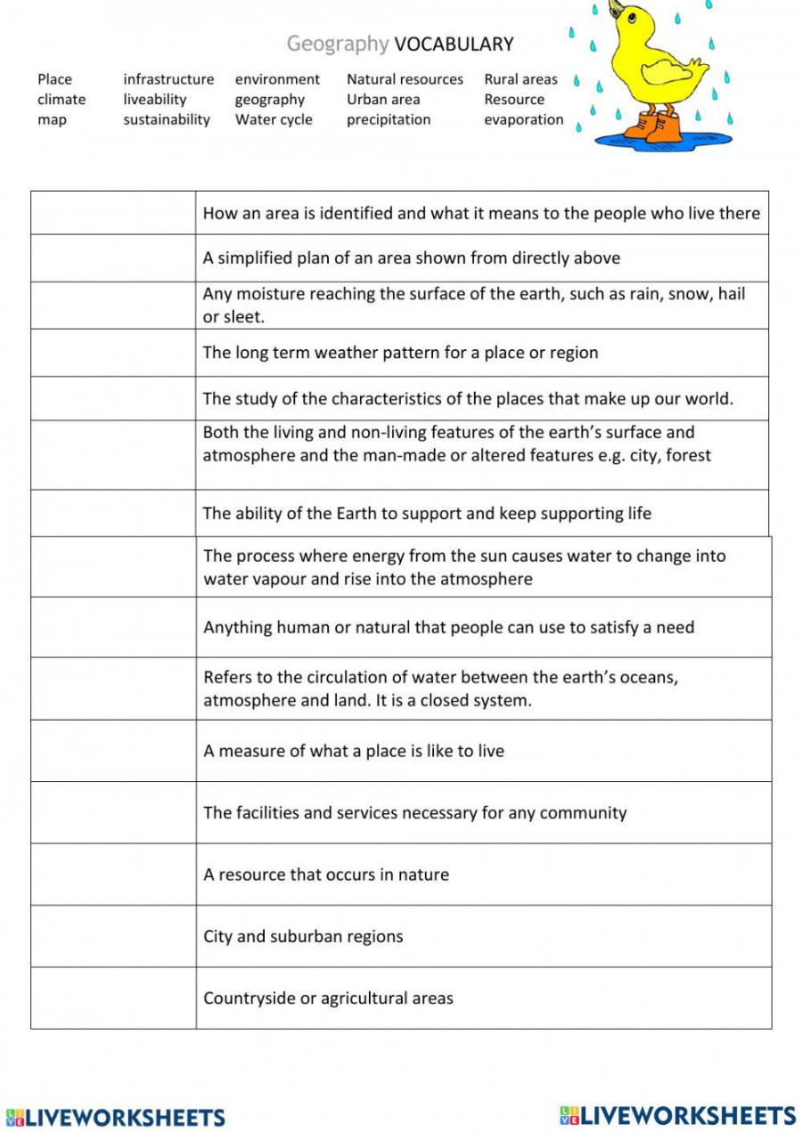 Year  Geography Vocabulary worksheet  Live Worksheets