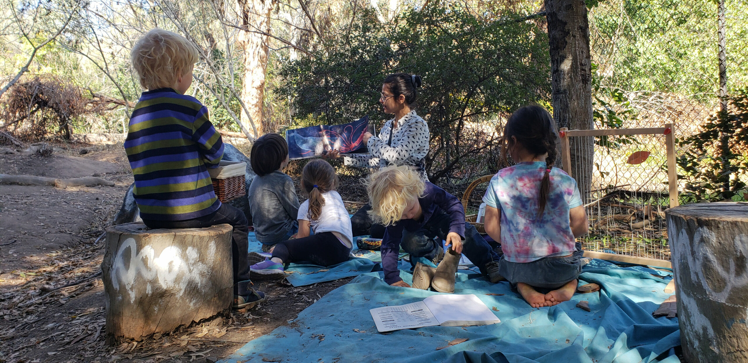 American Forest Kindergarten Association - Home