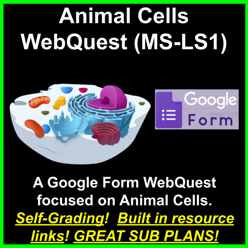 Animal Cells Web Quest (MS-LS) (GREAT SUB PLANS or DISTANCE