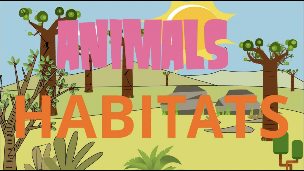 Animals habitats!