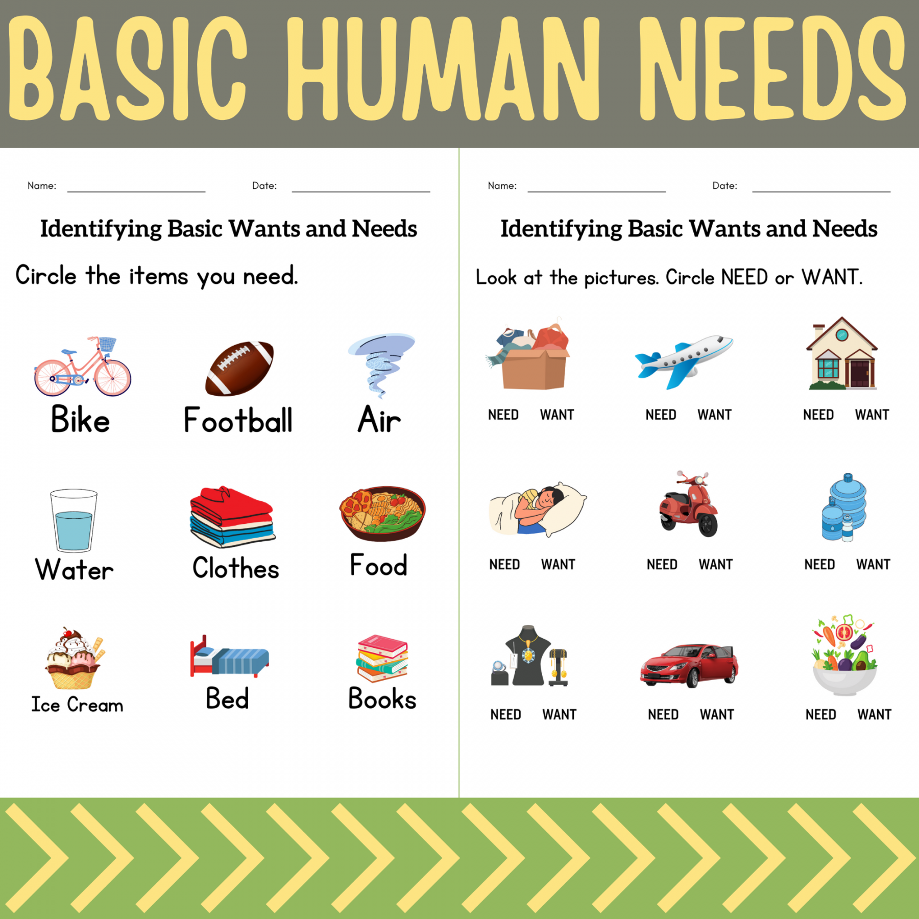 Basic human needs and basic needs of animals activities worksheet