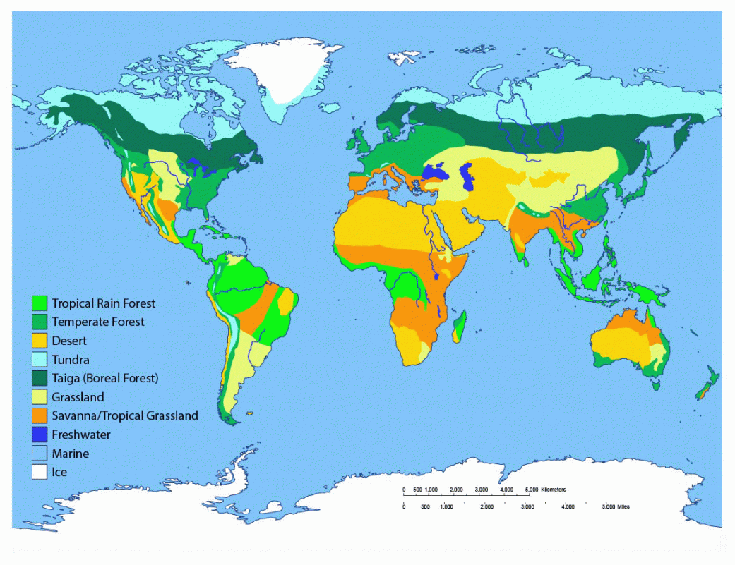 Biomes of the World  Ask A Biologist