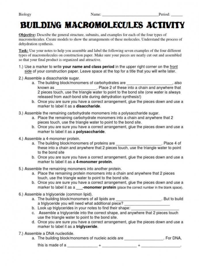 Building Macromolecules Activity - Student Handout - Updated