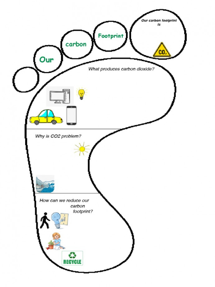 Carbon Footprint Worksheet  PDF