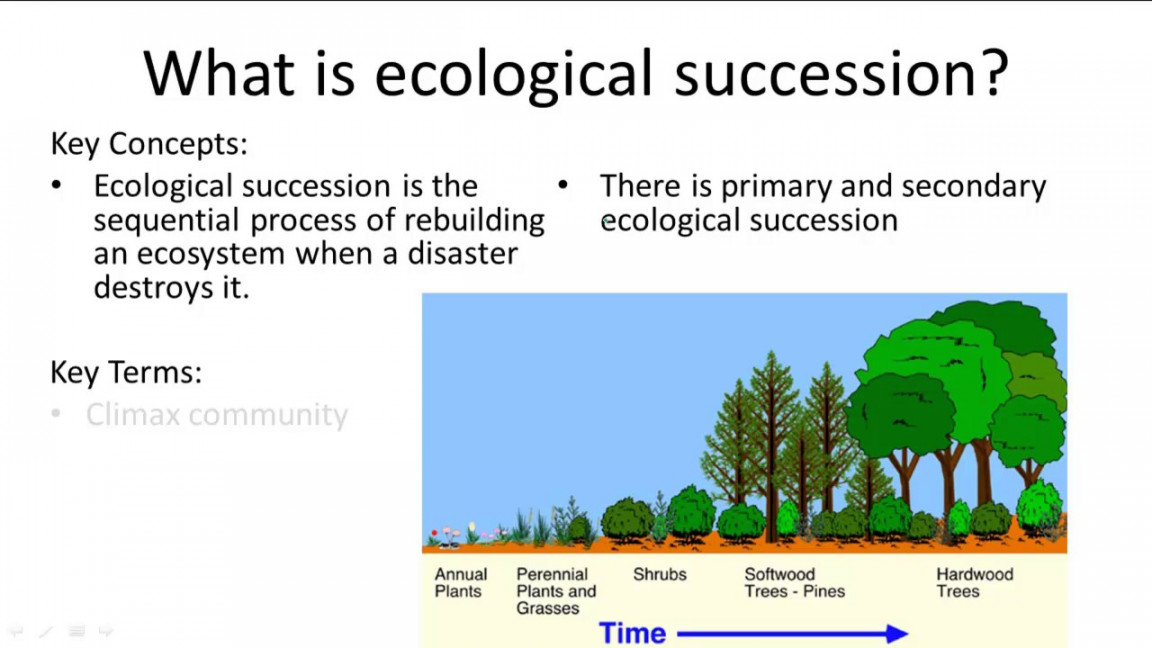 Changes in Communities Over Time