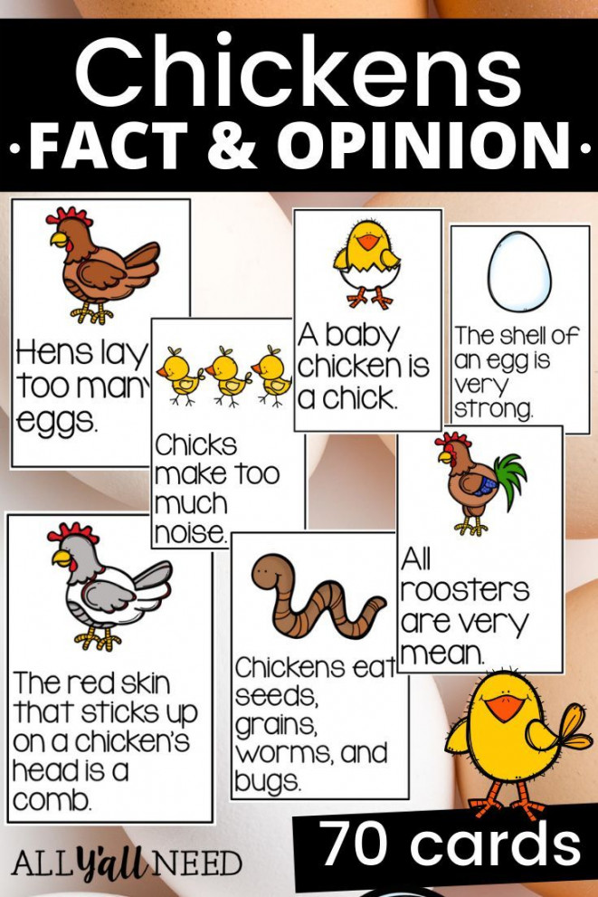 Chickens Fact and Opinion  Fact and opinion, Elementary education