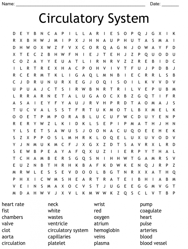 Circulatory System Word Search - WordMint