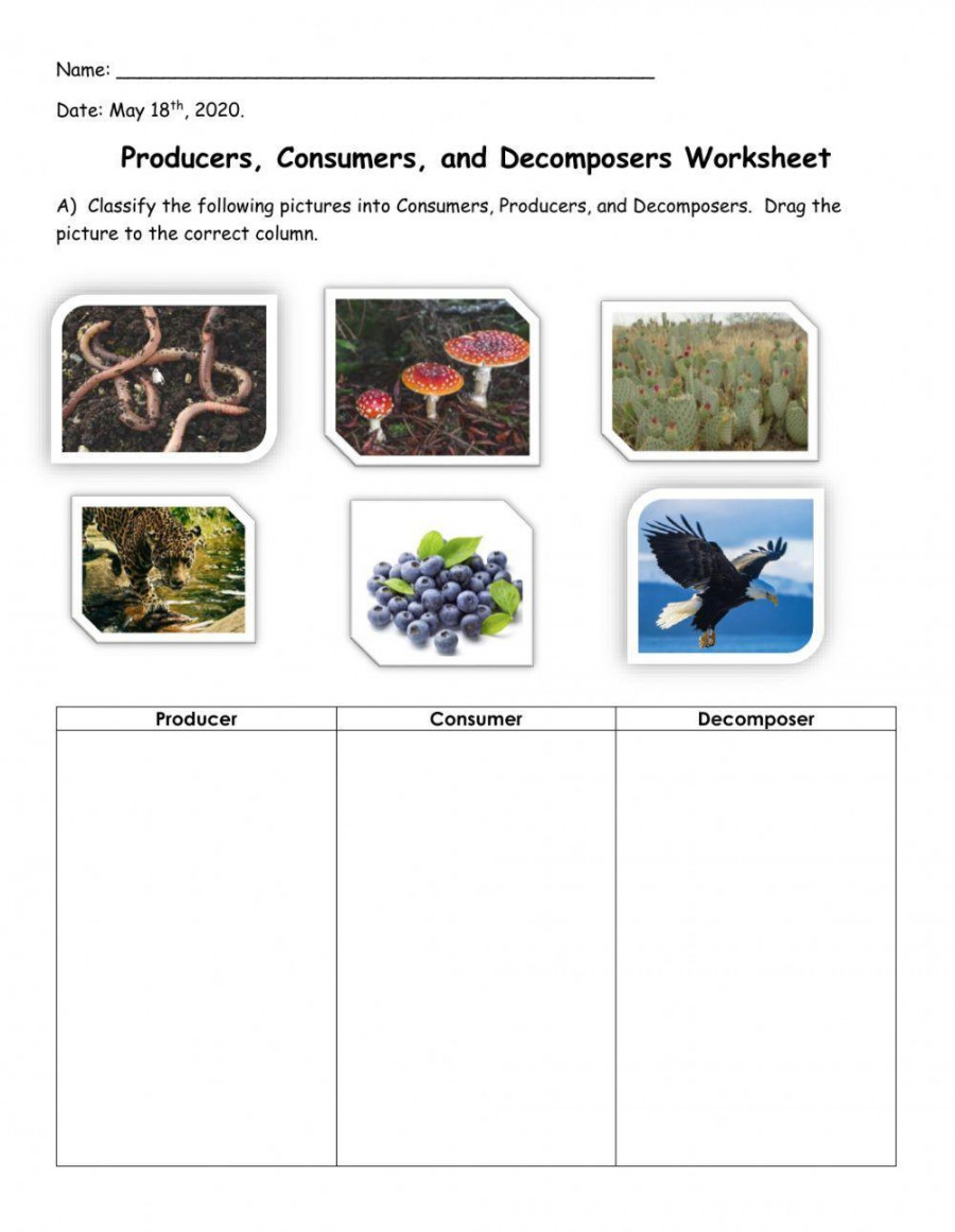 Consumers, Producers, Decomposers interactive worksheet  Live