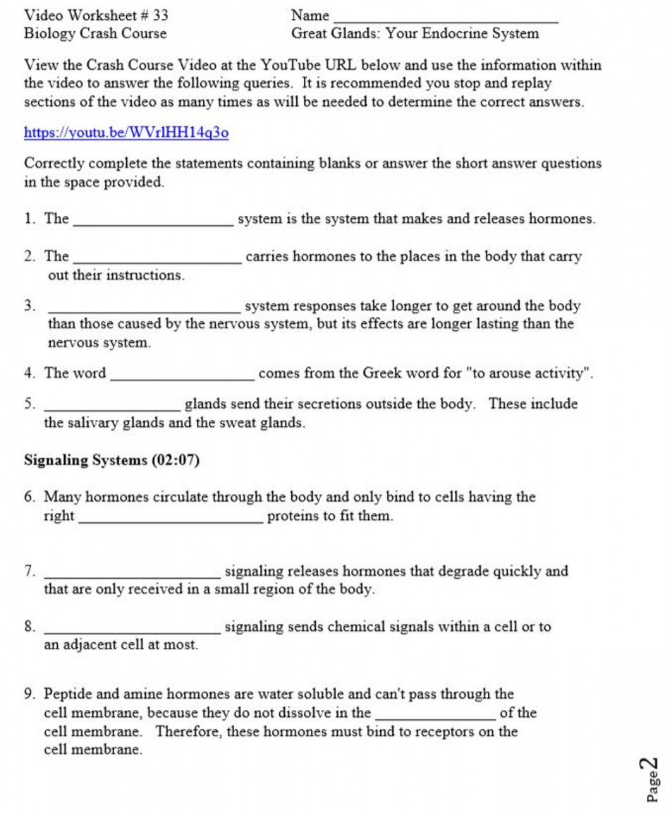 Crash Course Biology Video Worksheet : Great Glands: Your Endocrine System