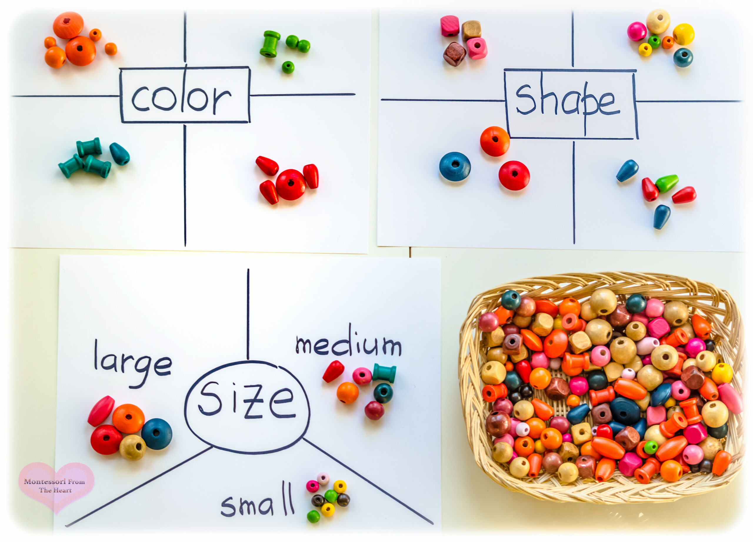 DIY Sorting and Classifying