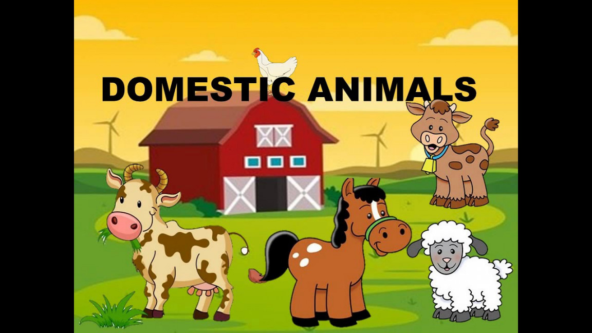 DOMESTIC ANIMALS PRESCHOOL LEARNING LESSON PLAN OF DOMESTIC OR FARM  ANIMALS