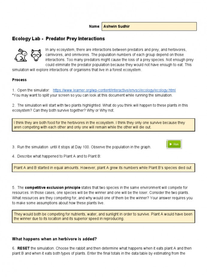 Ecology Lab - Predator Prey Interactions  PDF  Predation  Herbivore