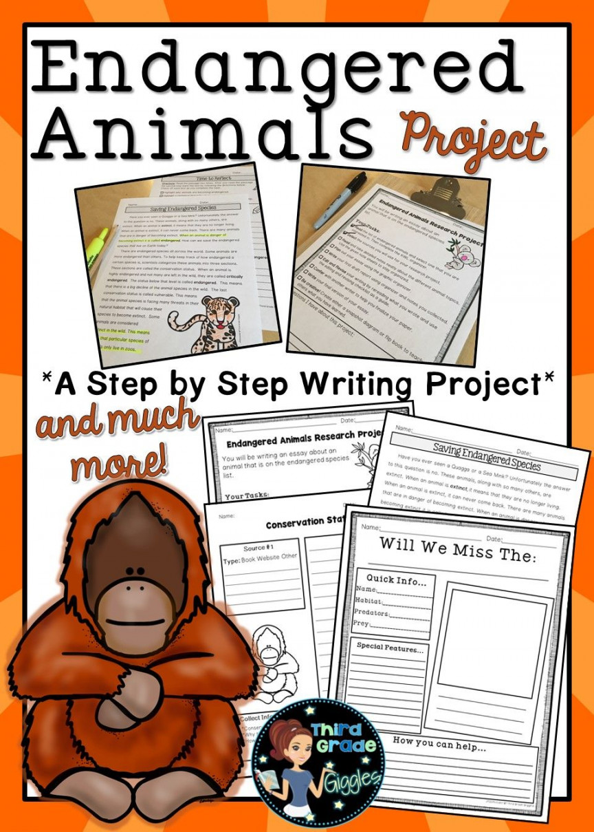 Endangered Animals Research Project Informative Writing Report