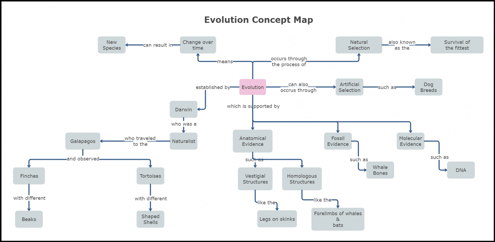 Evolution Concept Map  Edraw Max Templates  EdrawMax Templates