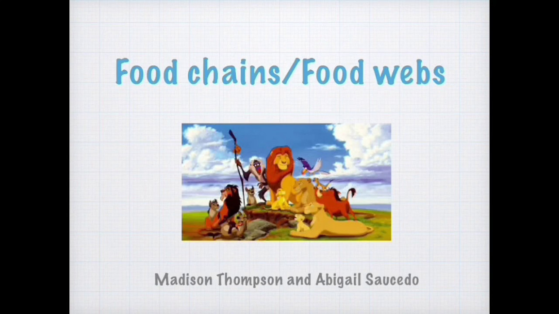 Food Chains/Food Webs Lion King