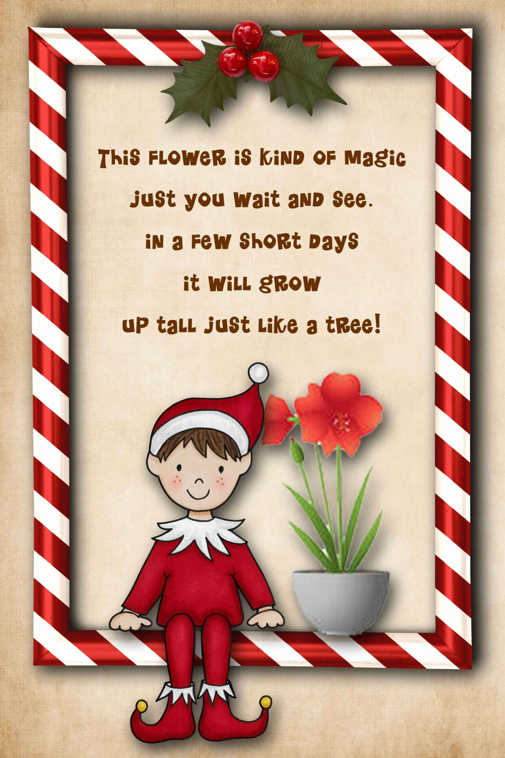 Free Elf on the Shelf poem to print--have your Elf bring an amaryllis!