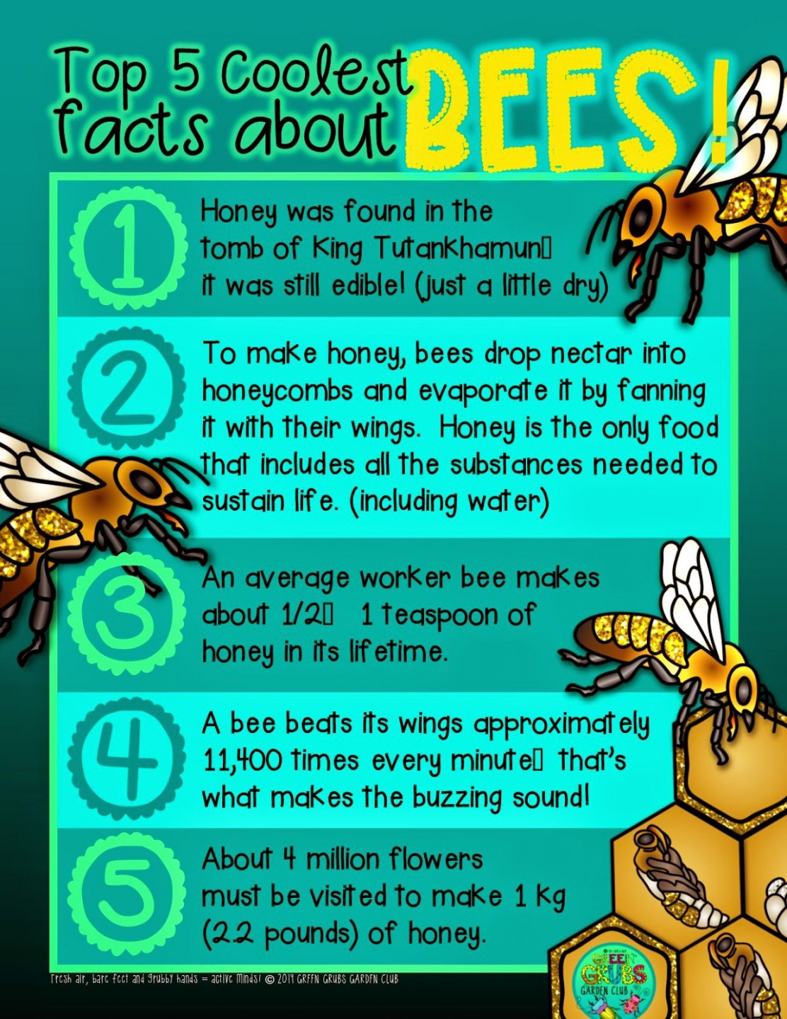 FREE PRINTABLE~ Top  coolest facts about Honey Bees