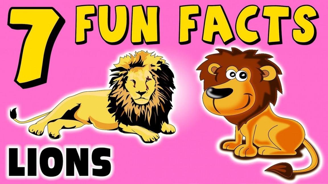 FUN FACTS ABOUT LIONS! LION FACTS FOR KIDS! Roar! Africa! Cats! Learning  Colors! Funny Sock Puppet