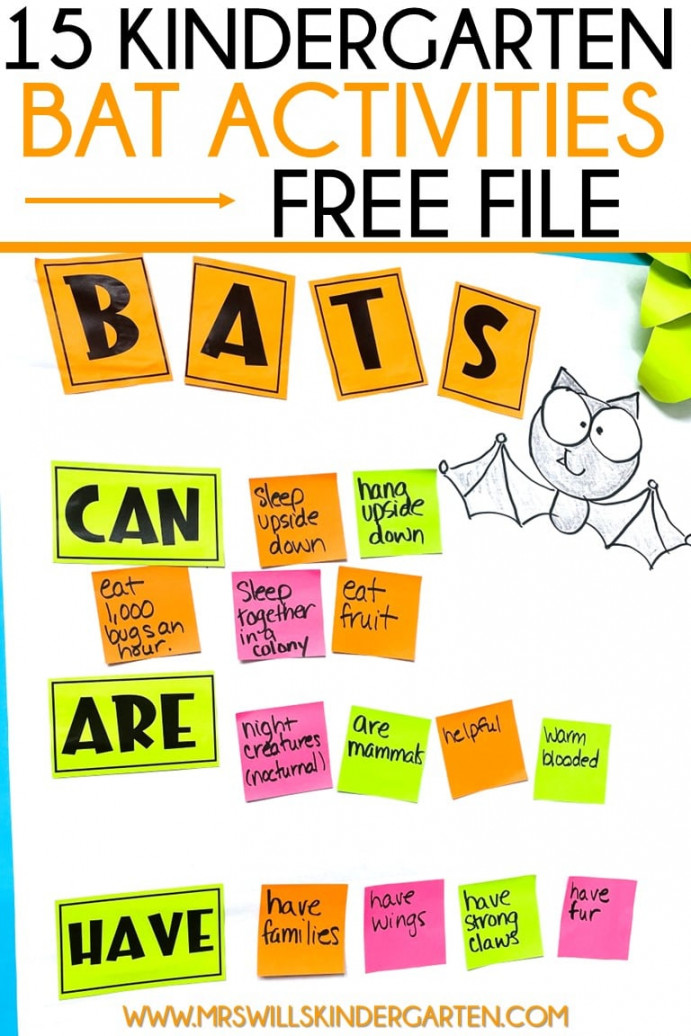 Fun Kindergarten Bat Activities and Lesson Plan Ideas (Free File)