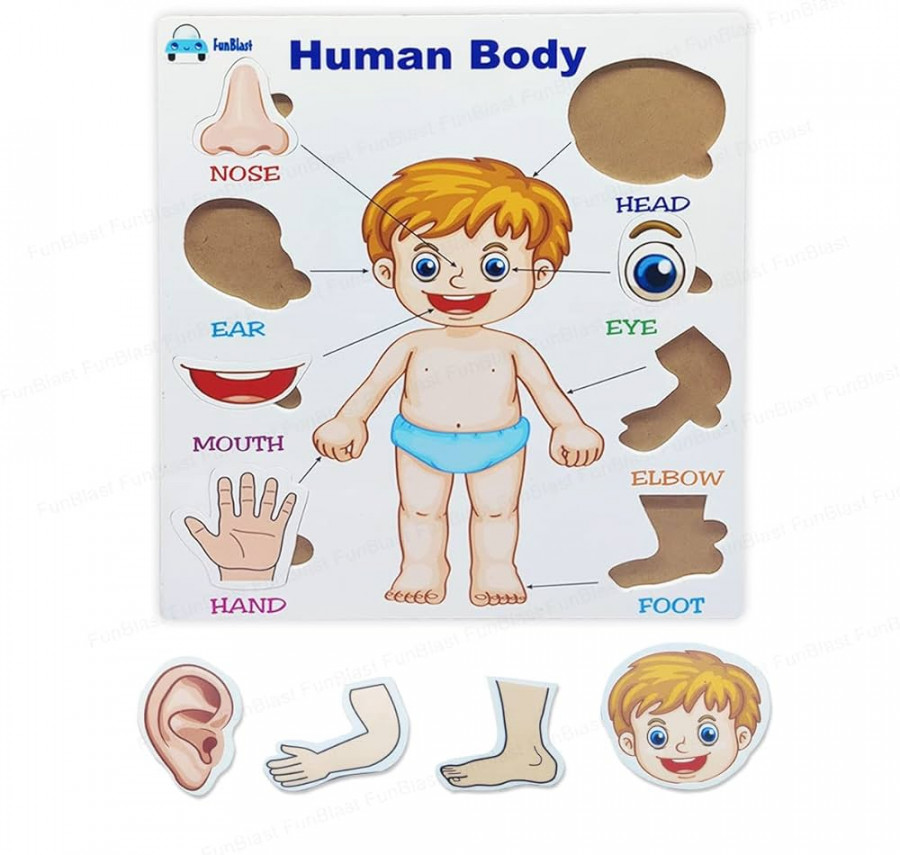 FunBlast Body Parts Puzzle for Kids - Body Parts Toys, Educational