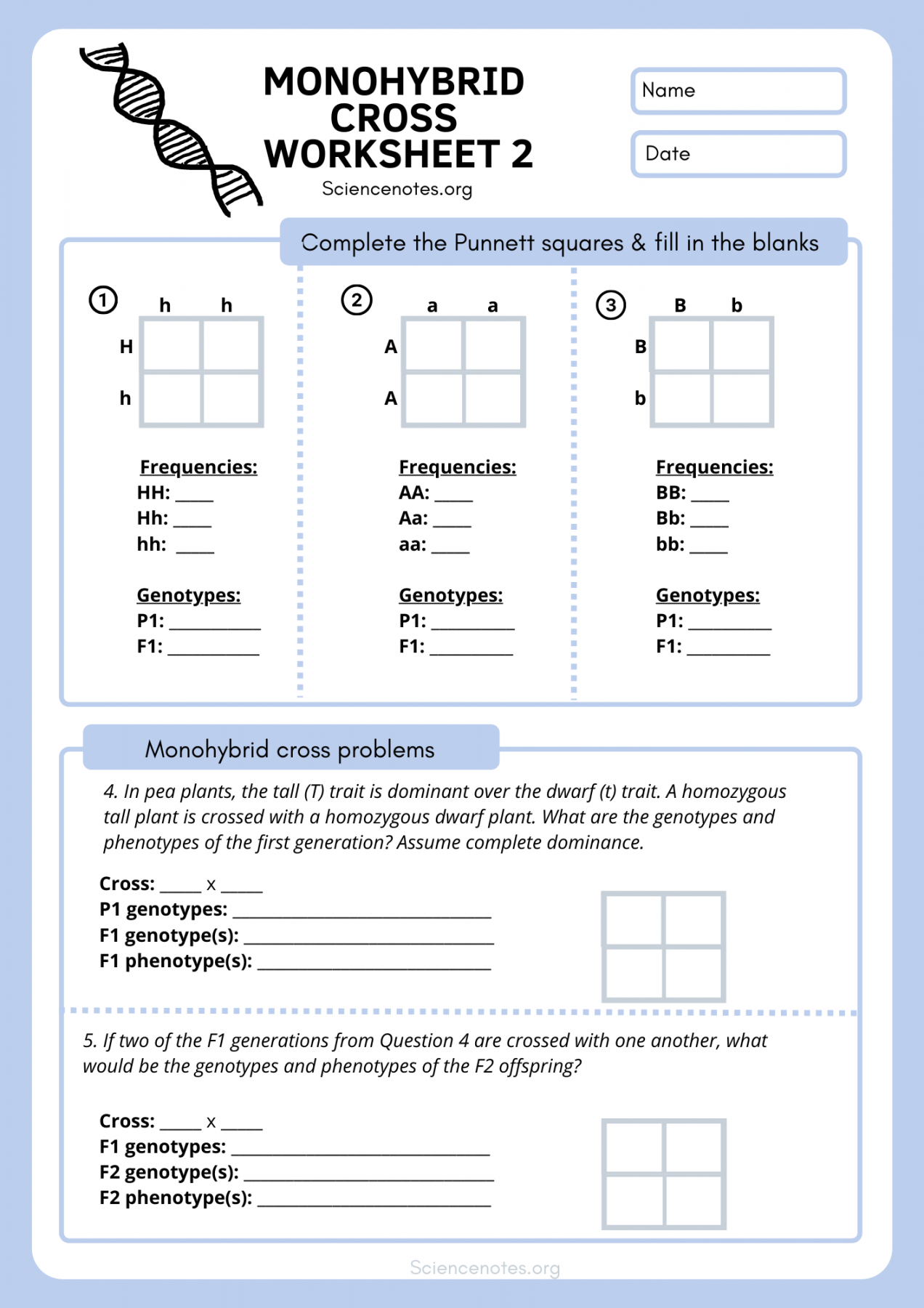 Genetics Worksheets and Printables