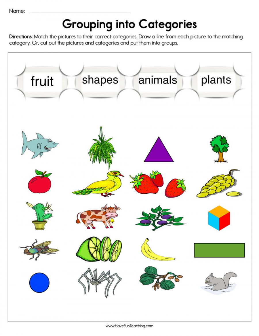 Grouping into Categories Worksheet - Have Fun Teaching