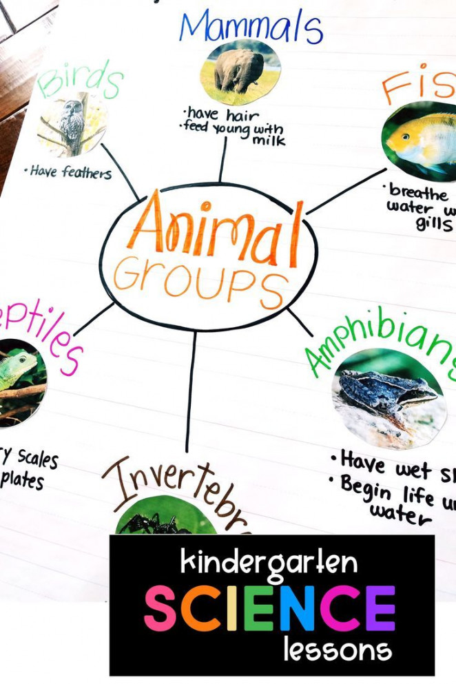 Hands-on and easy-to-use kindergarten science curriculum made by a