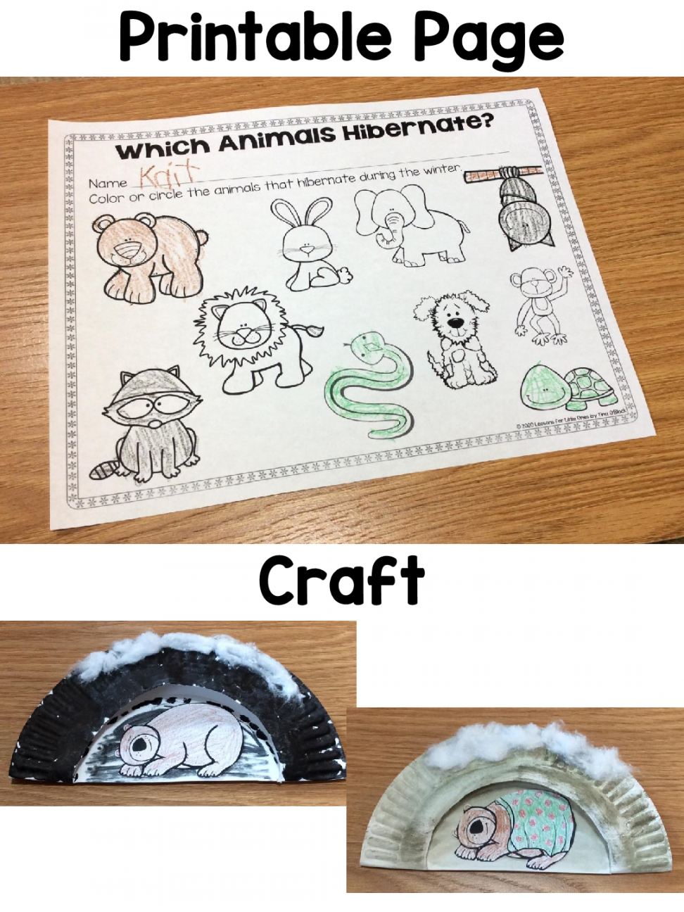 Hibernation Activities Writing Prompts Hibernating Bear Craft Bulletin Board