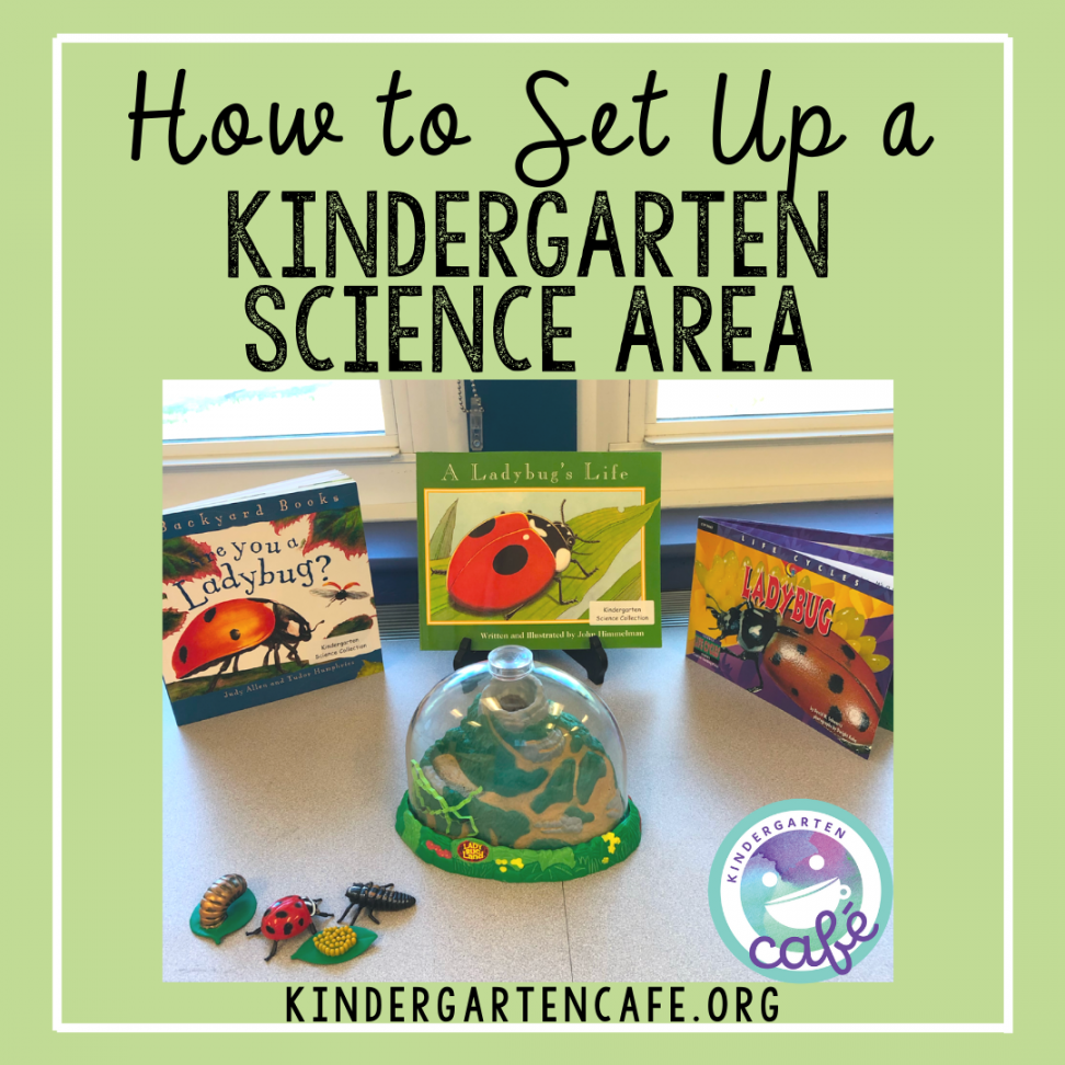 How to Set Up A Kindergarten Science Center  Kindergarten Cafe