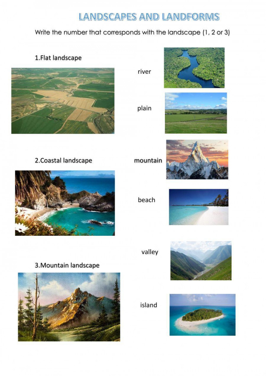 Landscapes and landforms worksheet  Live Worksheets