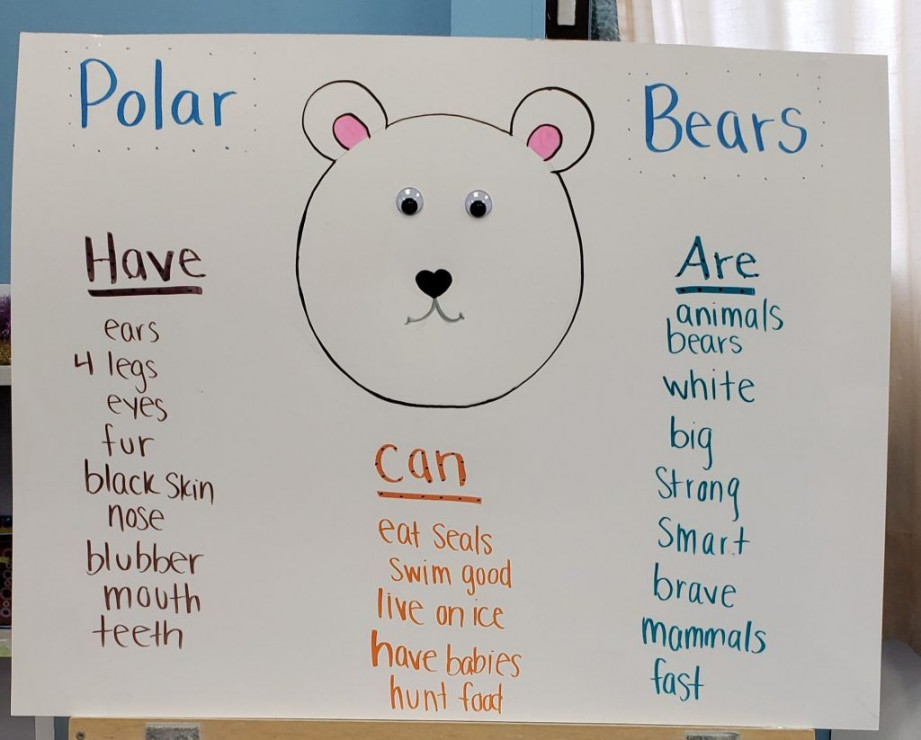 Learning About Polar Bears With a, “Can, Have, Are,” Chart  Polar