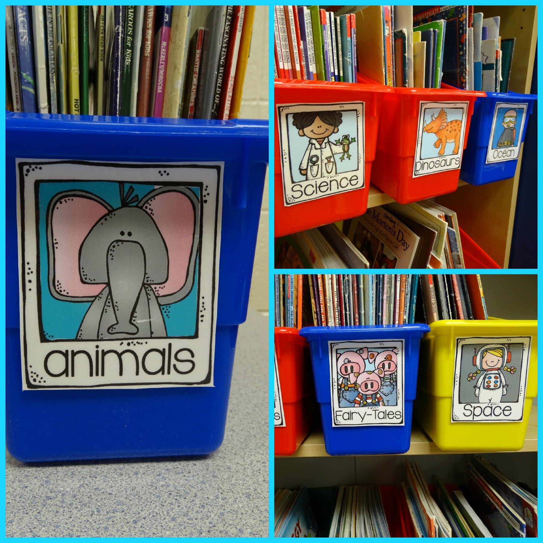 Library Labels for your Classroom - library book bin labels