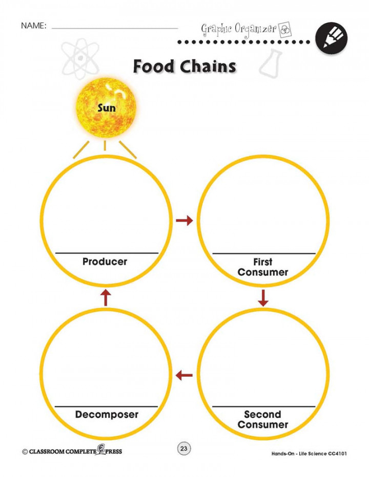 Life Science: Food Chains Web - WORKSHEET – CLASSROOM COMPLETE PRESS