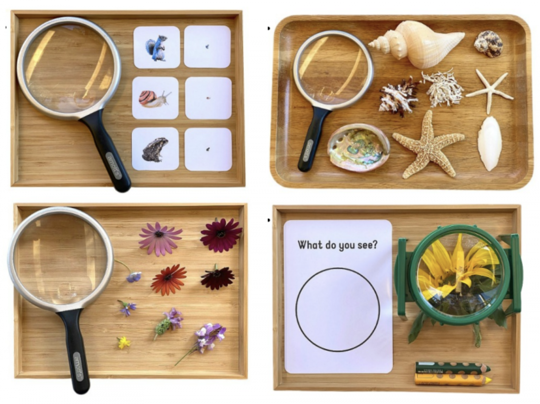 Magnifying glass activity four ways  Preschool science activities