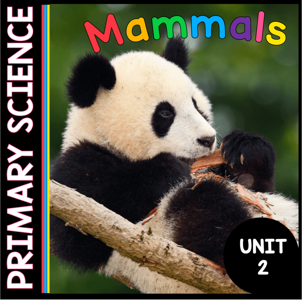 Mammals Science Unit - FREE LESSON — Keeping My Kiddo Busy