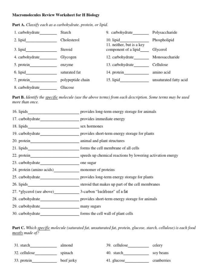 Marocmolecule Review Worksheet - Answer Key  PDF  Carbohydrates