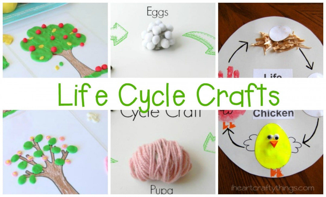 Must-Try Life Cycle Activities for Kids