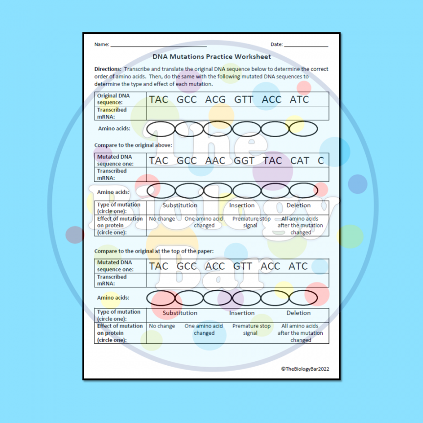 Mutation Practice Worksheet Printable and Digital