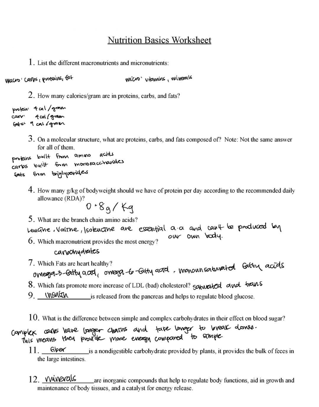 Nutrition basics worksheet practice - Nutrition Basics Worksheet