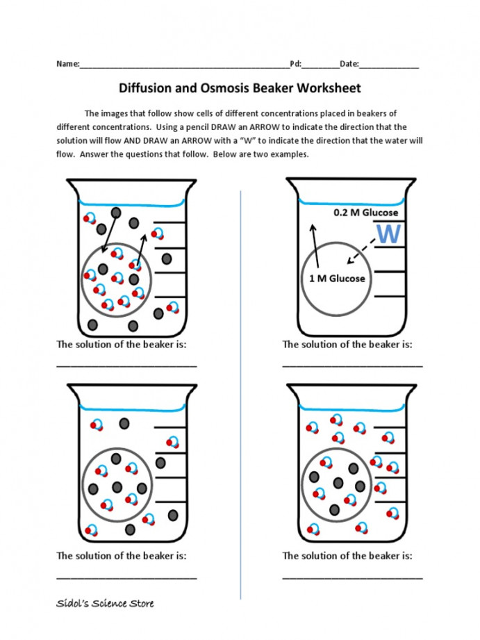 Osmosis and Diffusion Worksheet  PDF  Osmosis  Molecular Biology