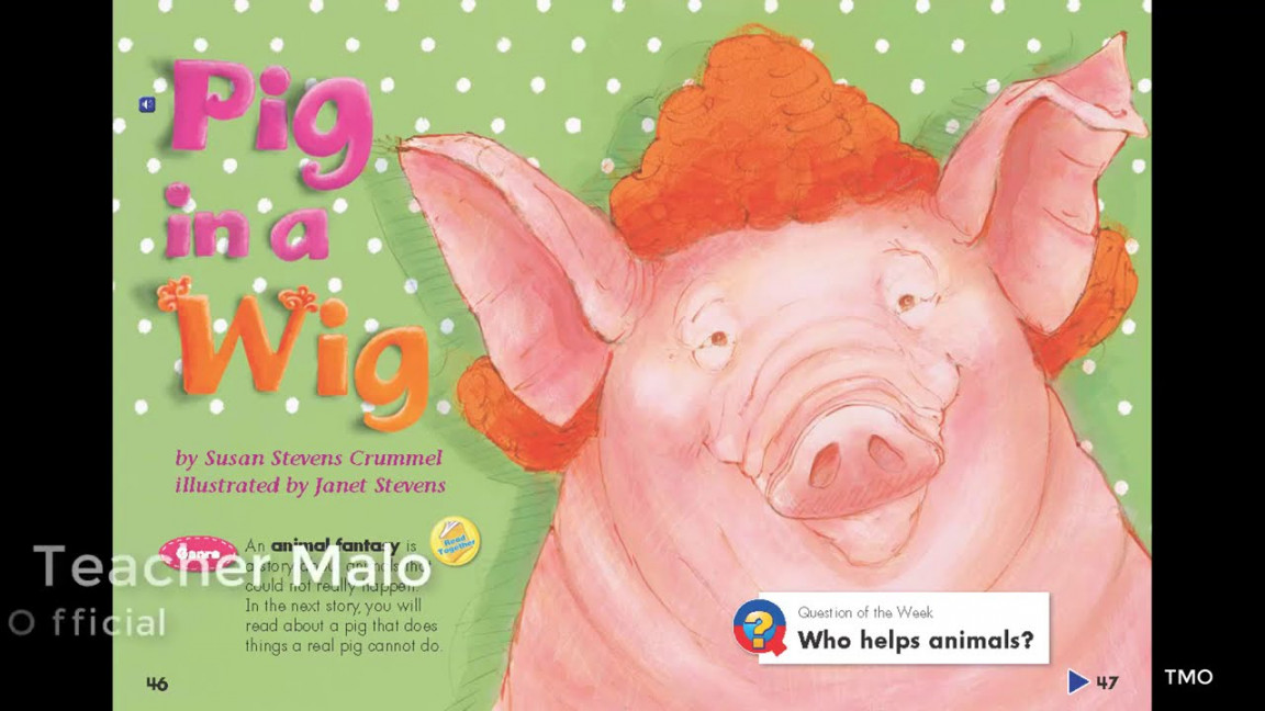 "Pig in a Wig" story Grade