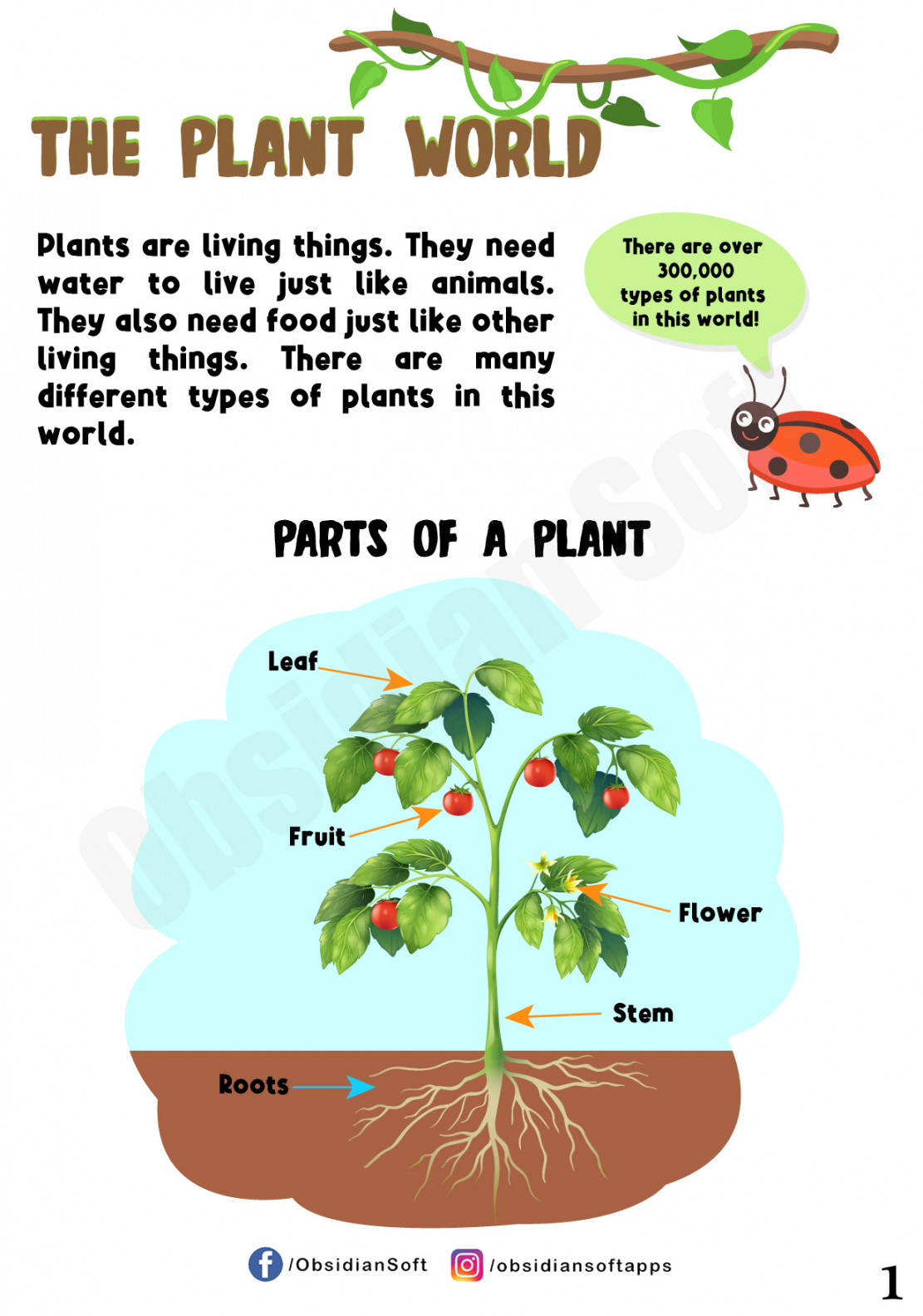 Plant World for Kids