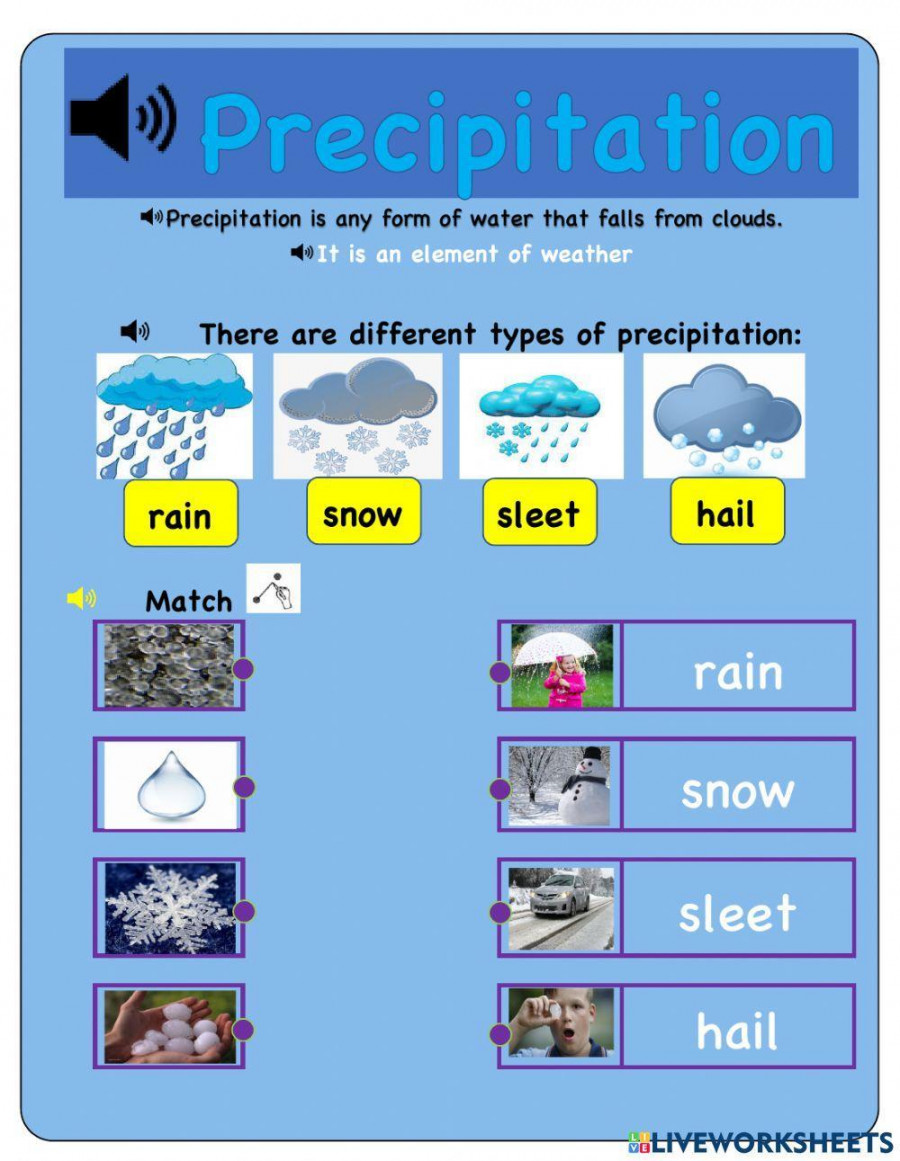 Precipitation exercise  Live Worksheets